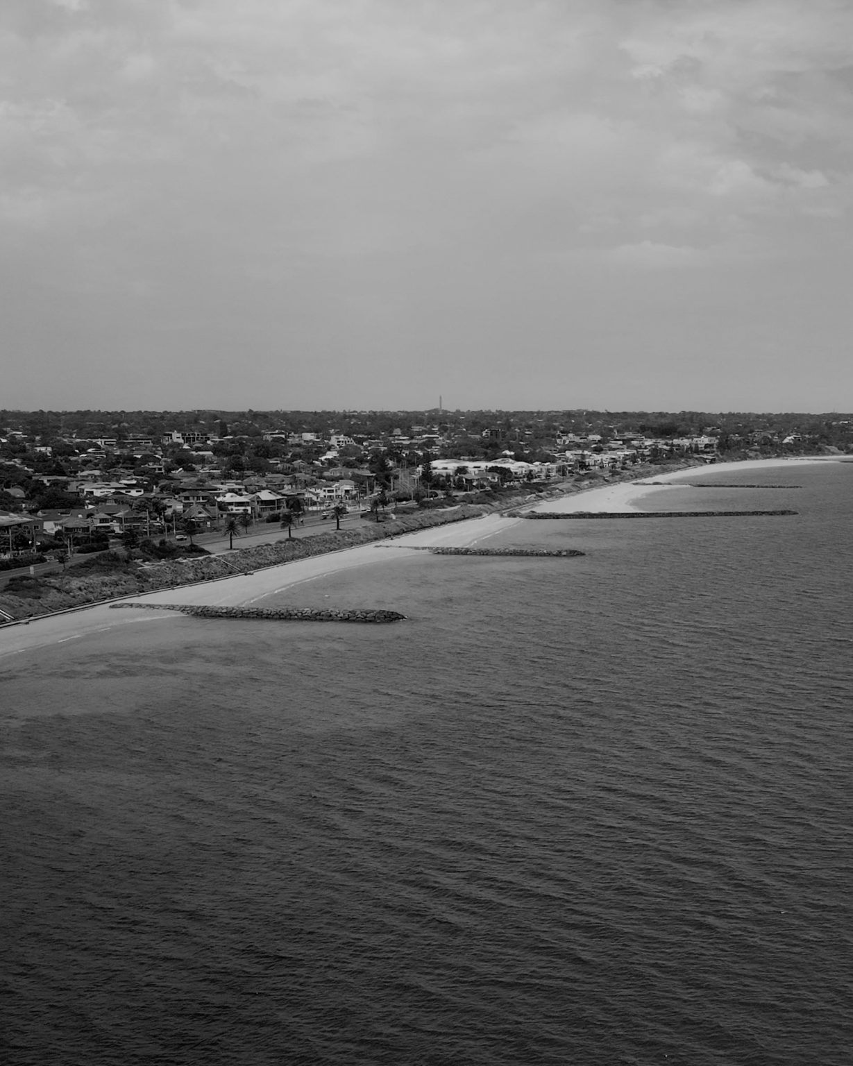 P1001494.01_00_46_08.Still003-2 4x5